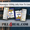 Kamagra 100Mg Jelly How To Use 12